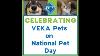 National Pet Day At Veka 2022